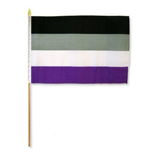 12x18 12"x18" Wholesale Lot of 12 Gay Pride Asexual Stick Flag wood staff